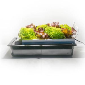 Desktop NFT System
