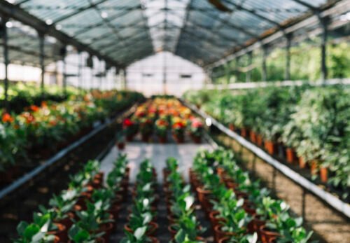 Greenhouse Interiors USA